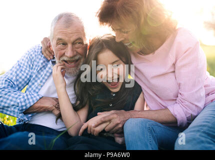 Senior couple with granddaughter outside in spring nature, relaxing on the grass. Stock Photo