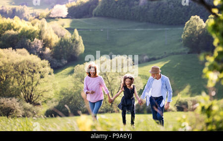 Senior couple with granddaughter on a walk outside in spring nature. Stock Photo