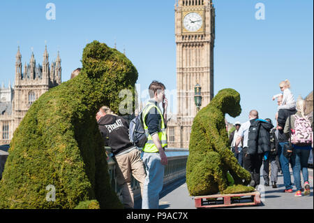 London, UK. 24th May 2016. Five six-foot monkey installations are positioned across Westminster Bridge to help launch the Body Shop's new Bio-Bridges  Stock Photo