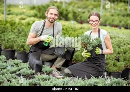 Young couple of workers in uniform taking care of plants at the greenhouse of the plant shop Stock Photo