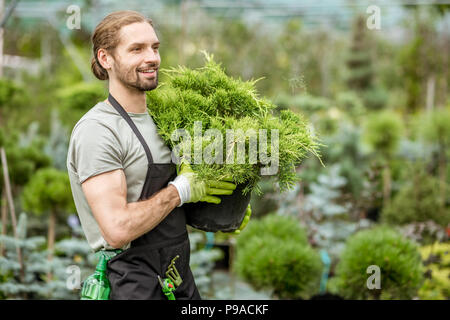 Portrait of a handsome worker holding conifer bush working in the greenhouse of the plant shop Stock Photo