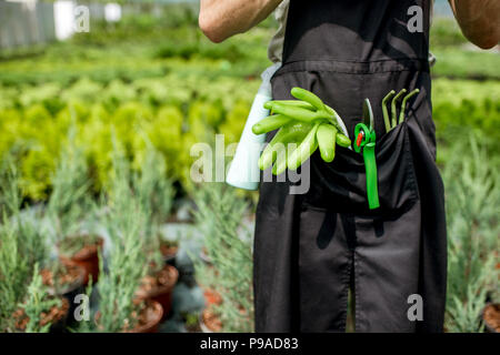 Tools for gardening in the pocket of the gardener Stock Photo