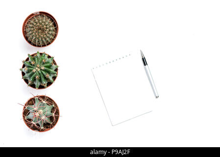 Pen, notepad for writing lie near cacti Stock Photo