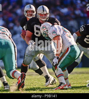 Oakland, California, USA. 1st Dec, 1996. Oakland Raiders vs. Miami Dolphins  at Oakland Alameda County Coliseum Sunday, December 1, 1996. Raiders beat  Dolphins 17-7. Oakland Raiders quarterback Jeff Hostetler Credit: Al  Golub/ZUMA Wire/Alamy