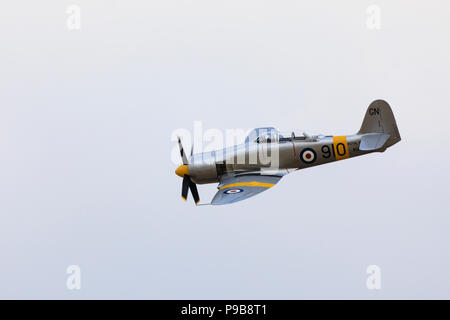 Hawker Sea Fury T20 trainer of the Royal Navy Fleet Air Arm in flight. G-CHFP Stock Photo