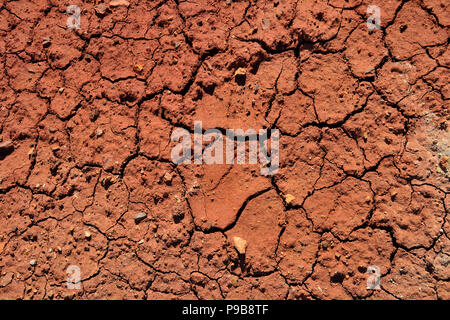 Texture of dry cracked clay soil - abstract natural summer background of clay desert cracked from drought Stock Photo