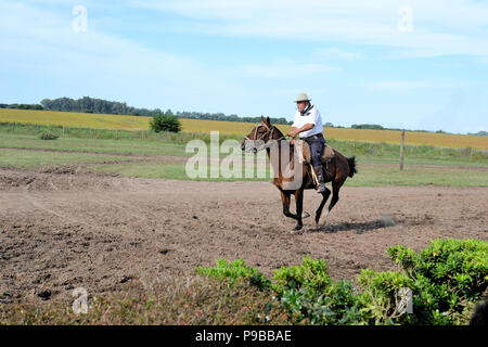 Gaucho riding a horse in an estancia on the outskirts of Buenos Aires, Argentina; traditional pampa life. Stock Photo