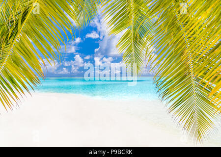 Tranquil beach banner. Palm trees and amazing blue sea view with white ...