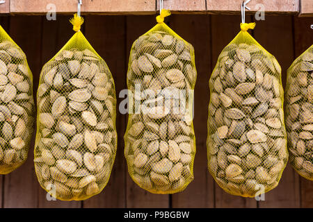 Pará, Brazil. Close up of Brazil nuts for sale at street fair in the Amazon. Stock Photo