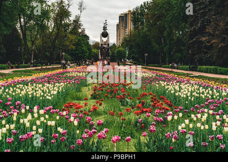 Almaty central park view with colourful tulips in the foreground. Stock Photo
