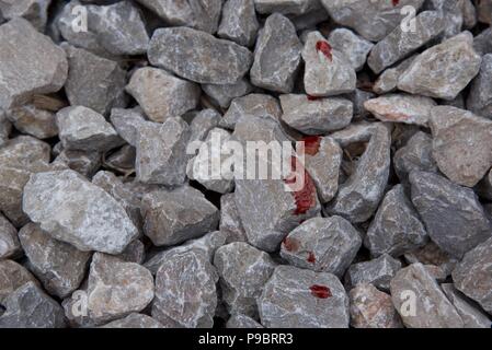 Blood: a trail of fresh blood (pigs blood) on crushed stone chippings Stock Photo