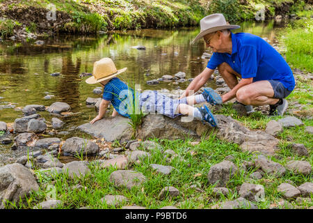 Grandfather next to his grandson who is looking for fish in a creek in the Australian countryside. Stock Photo