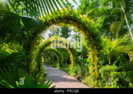 View of National Orchid Garden within Singapore Botanic Gardens. Singapore Stock Photo