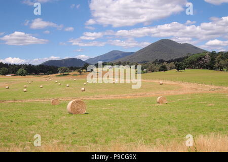 Rural country farm and bushland in the late afternoon sun, Victoria, Australia 2018 Stock Photo