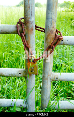 A rusty metal chain on a gate at a farm Stock Photo