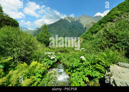 Beautiful Dariali Gorge near the Kazbegi city in the mountains of the Caucasus, Geprgia Stock Photo