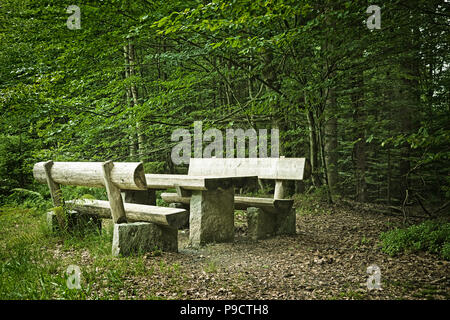 Picnic table and bench seats made from tree trunks in a forest, Europe Stock Photo