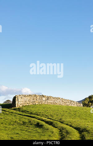 Dry stone wall in the Yorkshire Dales National Park, England, UK Stock Photo