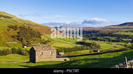 English countryside landscape of Swaledale in the Yorkshire Dales National Park, England UK, with farmland Stock Photo