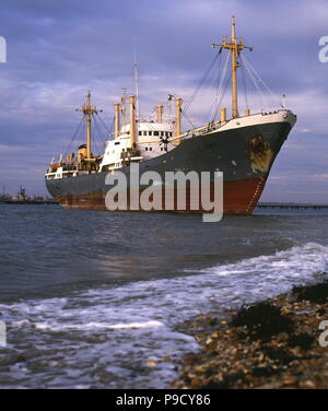 AJAXNETPHOTO. 1987. NETLEY, SOUTHAMPTON, ENGLAND. - SHIP AGROUND - THE CARGO VESSEL SAM G AGROUND ON NETLEY BEACH AFTER DRAGGING HER ANCHOR DURING AN AUTUMNAL STORM THAT RIPPED ACROSS THE SOUTH COAST. PHOTO:JONATHAN EASTLAND/AJAX REF:880027 43 2 Stock Photo
