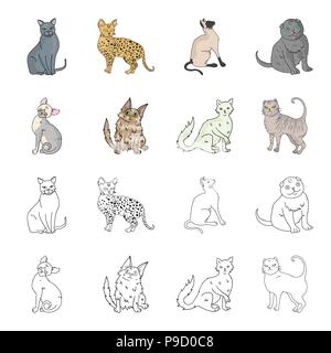 Turkish Angora, British longhair and other species. Cat breeds set collection icons in cartoon,outline style vector symbol stock illustration . Stock Vector