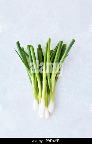 Spring onions with water drops on a modern DIY background in light grey with hints of blue and purple pattern. Stock Photo