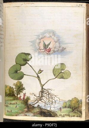 medieval plants and flora illustration Stock Photo