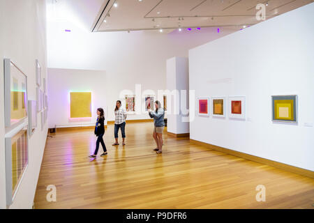 Gainesville Florida,University of Florida,Samuel P. Harn Museum of Art,gallery galleries,Poetic and Political,exhibition,paintings,Josef Albers,adult Stock Photo