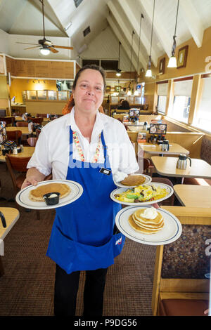 Gainesville Florida,IHOP,International House Pancakes,restaurant restaurants food dining cafe cafes,interior inside,woman female women,job,working wor Stock Photo