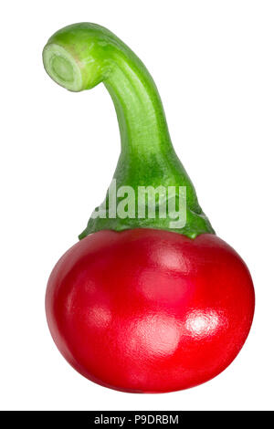 Kalocsai Alascony Hungarian Cherry pepper (Capsicum annuum var. cerasiforme) Stock Photo