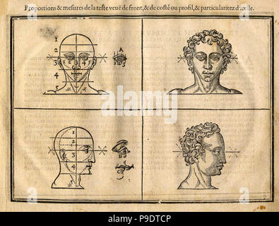 medieval anatomical study Stock Photo