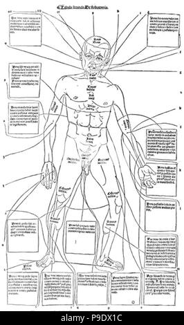 medieval anatomical study Stock Photo