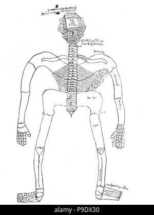 medieval anatomical study Stock Photo