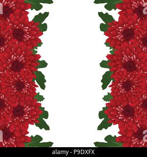 Red Chrysanthemum Border isolated on White Background. Vector Illustration. Stock Vector