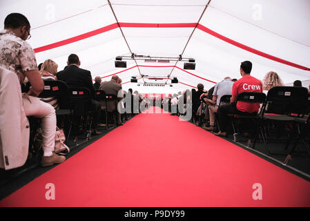 A red carpet leading up to the graduation stage with people sitting on chairs either side. Stock Photo