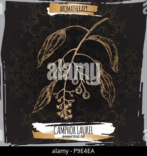 Cinnamomum camphora aka camphorwood or camphor laurel branch sketch on black background. Stock Vector