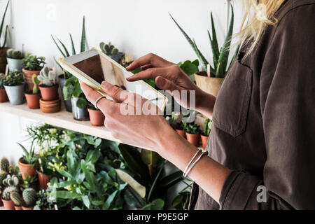 Close up of female owner of plant shop holding digital tablet, a selection of plants on wooden shelves. Stock Photo