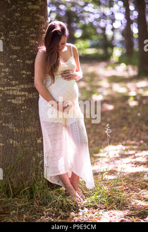 Young pregnant lady holding her baby bump outside in woods Stock Photo