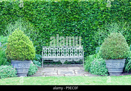 Metal grey bench between two ornamental pots with topiary plants, against tall leafy hedge wall, in summer garden . Stock Photo