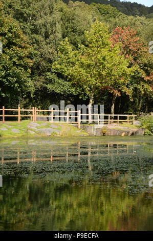 Scenic view of the Barry Sidings Country Park near the town of Porth in the Rhondda Valley Stock Photo