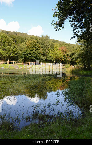 Scenic view of the Barry Sidings Country Park near the town of Porth in the Rhondda Valley Stock Photo