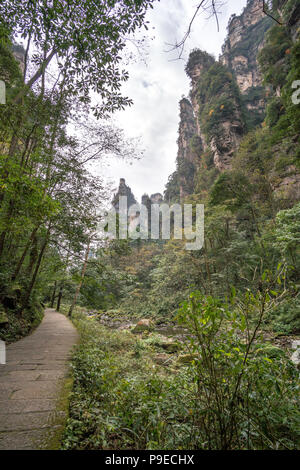 Landscape of Zhangjiajie. Taken from Old House Field. Located in Wulingyuan Scenic and Historic Interest Area which was designated a UNESCO World Heritage Site as well as AAAAA scenic area in china. Stock Photo