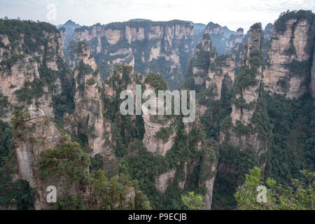 Landscape of Zhangjiajie. Taken from Old House Field. Located in Wulingyuan Scenic and Historic Interest Area which was designated a UNESCO World Heritage Site as well as AAAAA scenic area in china. Stock Photo