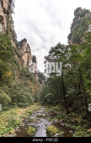 Landscape of Zhangjiajie. Taken from Old House Field. Located in Wulingyuan Scenic and Historic Interest Area which was designated a UNESCO World Heritage Site as well as AAAAA scenic area in china. Stock Photo