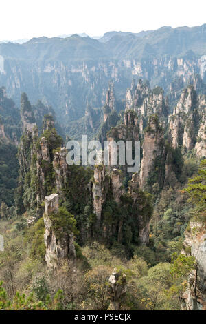 Landscape of Zhangjiajie. Taken from Old House Field. Located in Wulingyuan Scenic and Historic Interest Area which was designated a UNESCO World Heritage Site as well as AAAAA scenic area in china. Stock Photo