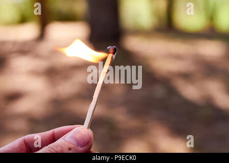 hand holding a match on fire in the forest Stock Photo