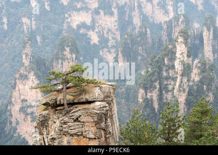 Landscape of Zhangjiajie. Taken from Old House Field. Located in Wulingyuan Scenic and Historic Interest Area which was designated a UNESCO World Heritage Site as well as AAAAA scenic area in china. Stock Photo