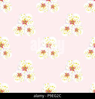 White Plum Blossom Seamless on Pink Background. Vector Illustration. Stock Vector