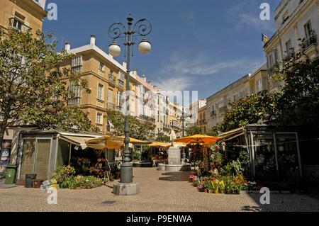 Plaza de las Flores with its flower stalls in the old town of Cadiz in Caditz, Andalusia, Cadiz-province, Spain Stock Photo