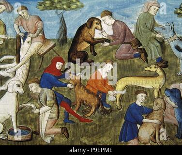 Le livre de chasse hi-res stock photography and images - Alamy